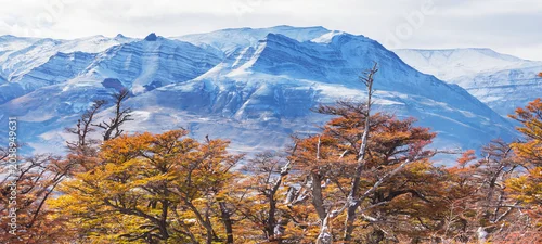 Panel kuchenny z motywem Autumn in Patagonia