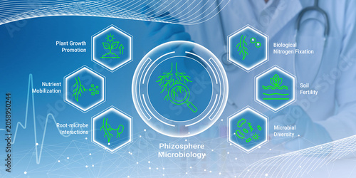 Fotografie Illustration of phizosphere microbiology highlighting plant growth promotion nut