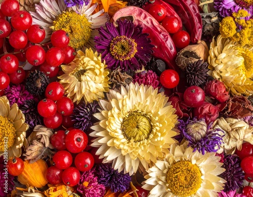 Dried botanicals and berries (1)