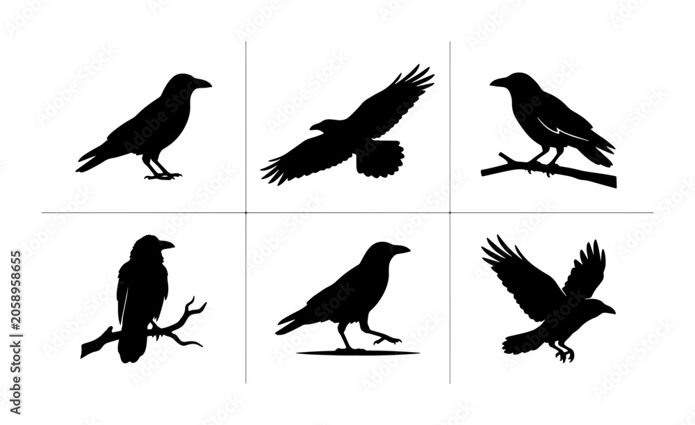 Fototapeta premium Six Black Bird Silhouettes, Raven and Eagle Vector Icons, Avian Wildlife Collection for Graphic Design