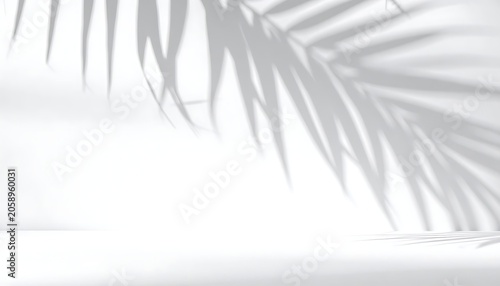 Leaf shadow backdrop