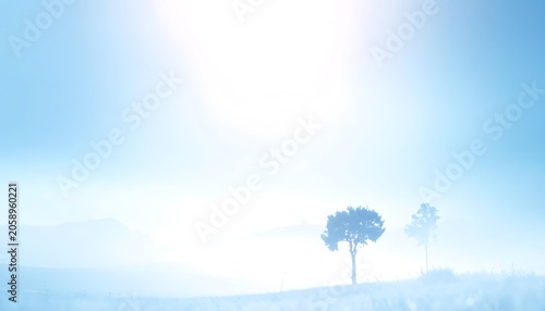Misty dawn landscape
