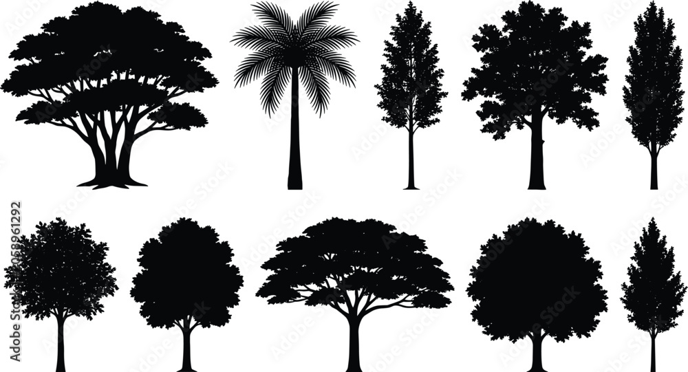 Fototapeta premium Tree silhouettes set with various realistic garden forest and tropical palm trees isolated on white background vector illustration
