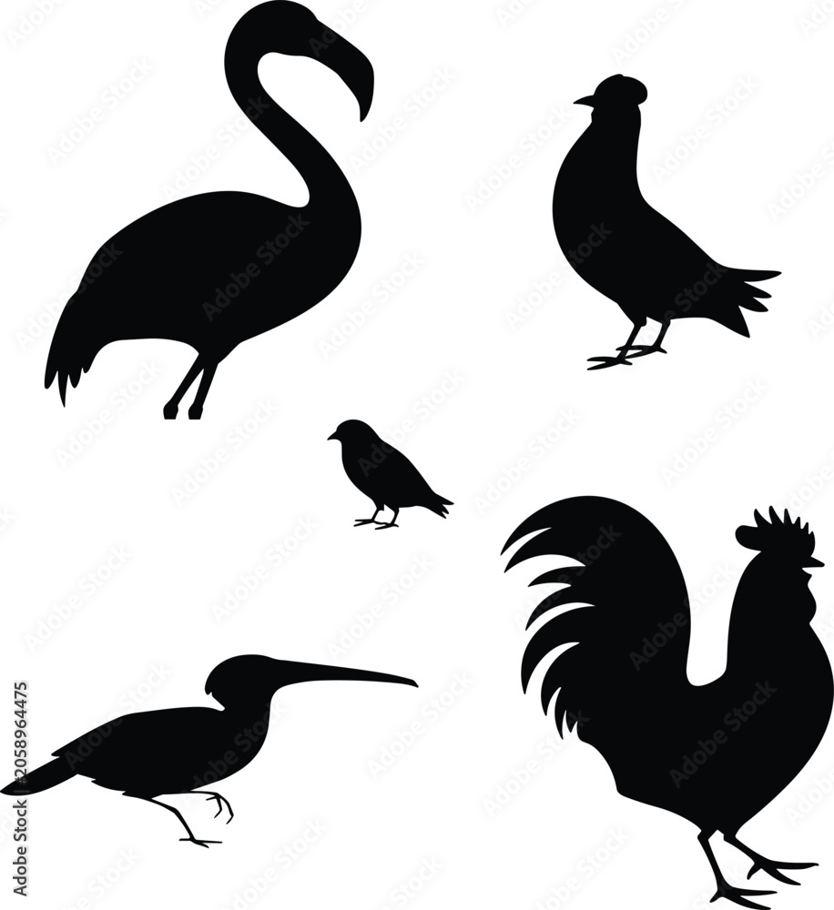 Obraz premium Set of black bird silhouettes featuring flamingo rooster pigeon and various avian species isolated on a plain white background
