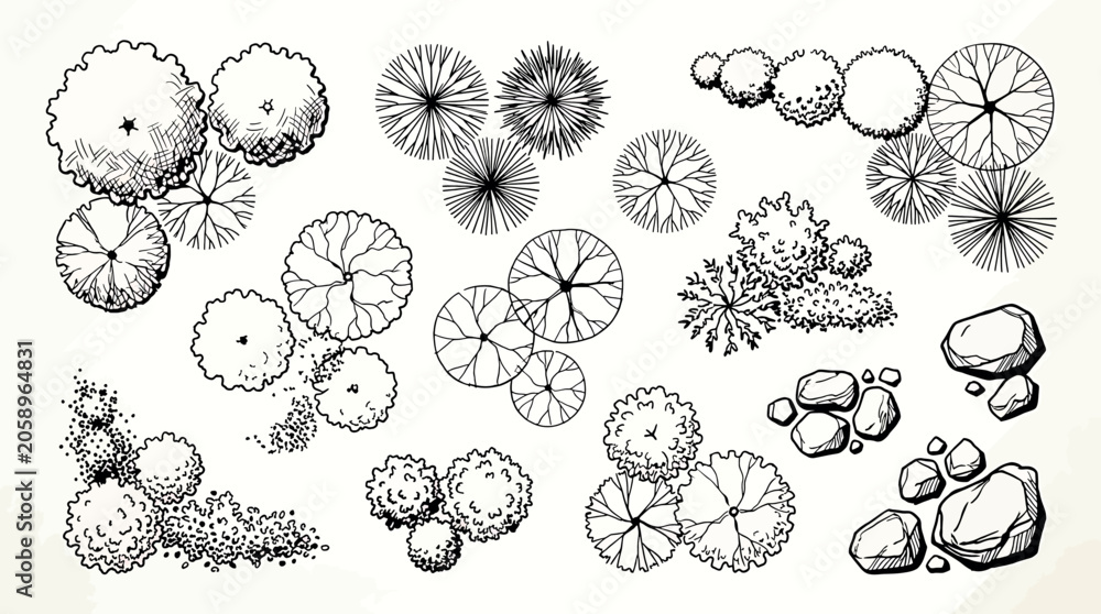 Obraz premium Set of hand drawn landscape design elements, top view of trees, shrubs and rocks isolated on white background