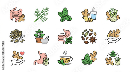 Fotografie Herbal remedies for digestive health and wellness icons.