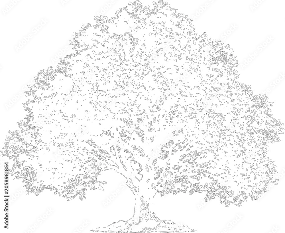 Obraz premium Detailed Deciduous Tree Outline Illustration with Dense Foliage Texture and Natural Monochrome Line Art