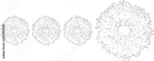 Foto Hand Drawn Tree Top View Set Outline Vector Illustration with Round Canopy Lands