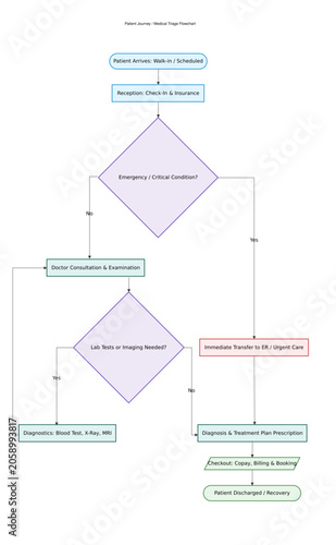 Chargeback Process Flowchart Template. Bank Payment Dispute and E-commerce Fraud Management Vector Infographic.