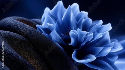Stunning blue flower abstract with fluid shapes showcasing elegance and depth.