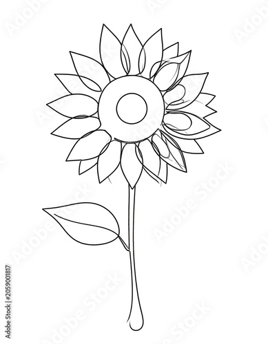 A simple line drawing of a flower with a large center and many petals