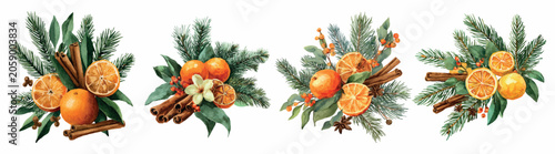 Фотография Watercolor christmas compositions of pine sprigs, whole mandarins, dried orange