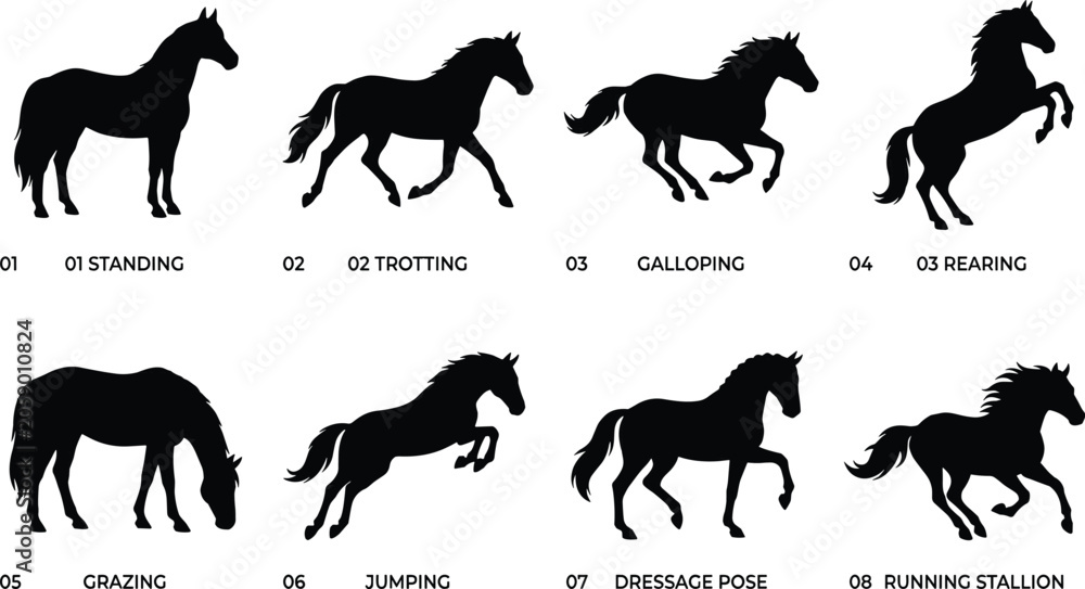 Obraz premium Horse Pose Silhouette Vector Bundle Featuring Standing Trotting Galloping Rearing Grazing Jumping Dressage and Running Stallion
