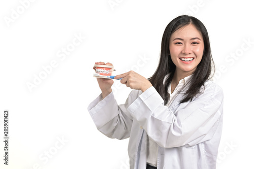 Portrait Asian woman dentist teaching how to brush teeth.Dentist holding tooth model and toothplate isolated on white background.Smiling female dentist doctor examining teeth model diagnosing patient.