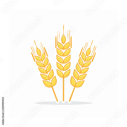 Golden wheat icon on white background