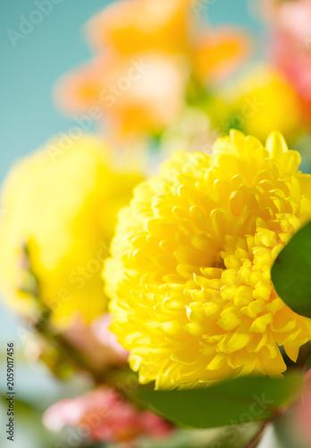 Beautiful bright flower art design, professional floristic bouquet with different flowers, close up. Colorful Chrysanthemums and other flowers, collected in a beautiful floral arrangement, macro