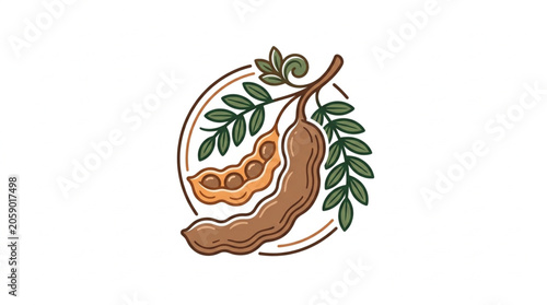 Obraz na płótnie Tamarind Fruit Pod and Leaves Illustration.