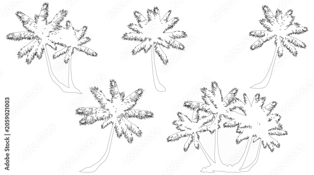 Fototapeta premium Tropical palm illustrations — stylized artistic representations of palm trees