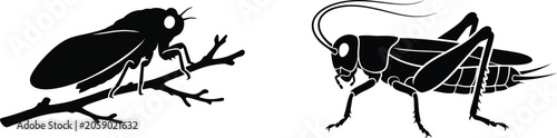 Fotografi Black silhouettes of cricket and grasshopper insects