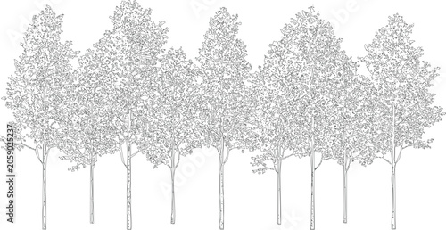 Canvas-taulu A collection of seven stylized trees with intricate leaf details, arranged closely together to form a naturalistic forest line on a transparent background