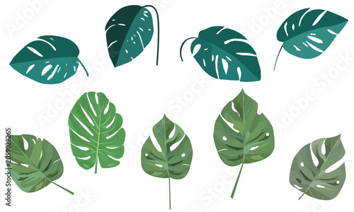 set of decorative green monstera leaves
