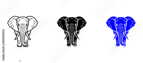 Photography elephant front