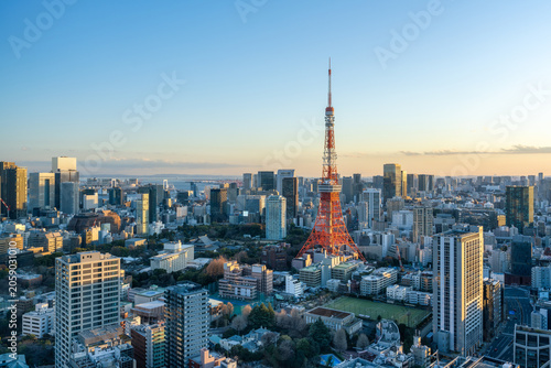 Tokyo skyline at sunset, Minato, Tokyo, Japan
