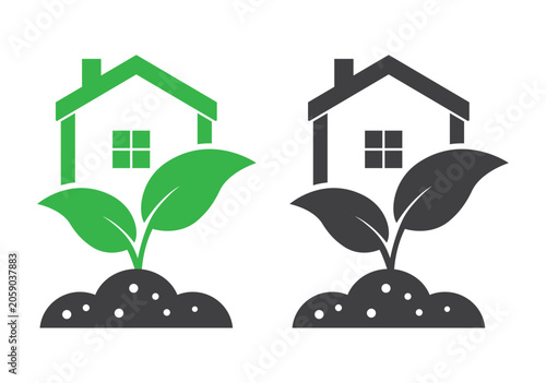 house green plant in soil