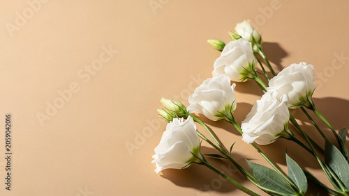 Elegant White Eustoma Flowers on Soft Beige Background