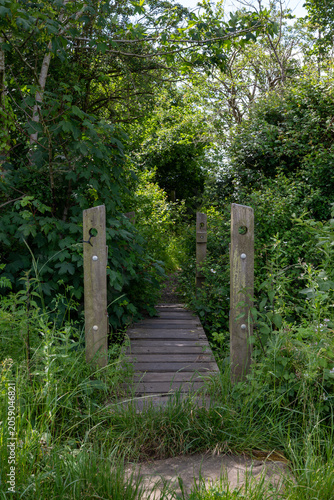 Wooden plank footbridge on a public footpath through dense green summer vegetation near Ashchurch, Tewkesbury, Gloucestershire