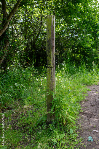 Weathered wooden gatepost marking a public footpath through summer undergrowth near Ashchurch, Tewkesbury, Gloucestershire