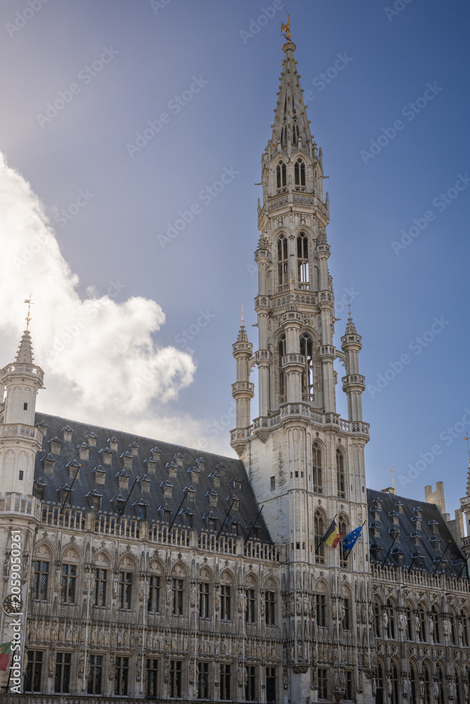 Obraz premium Brussels is the capital of Belgium, the French Community of Belgium, and the Flemish Community. It is also the de facto capital of the European Union.
