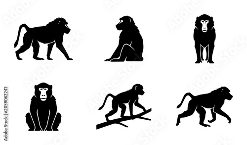 Photography Baboon Silhouette Icons Set, Primate Animal Vector Graphics, Wildlife Mammal Col