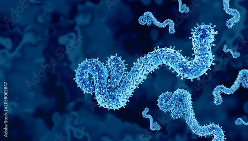 Fotografía Bundibugyo ebola virus is a strain of ebolavirus that causes severe viral hemorrhagic fever with symptoms including fever bleeding organ damage and potentially fatal illness
