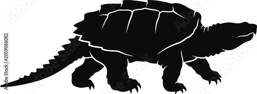 Photos Black panther walking silhouette