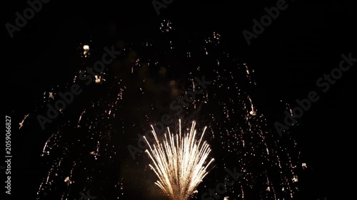 Colorful fireworks burst in the night sky, creating vibrant displays of light and patterns, illuminating the darkness with sparkling effects and dynamic shapes