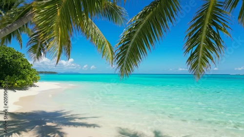 Tropical beach scene with palm trees framing clear turquoise water and white sand, showcasing a serene coastal environment under a bright blue sky