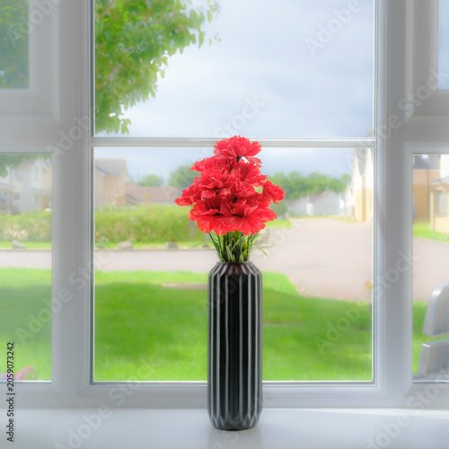 Red carnations bloom in a sleek black vase. Window frames a peaceful suburban backyard. Green grass and soft clouds complete the view. Vase rests on a clean white windowsill