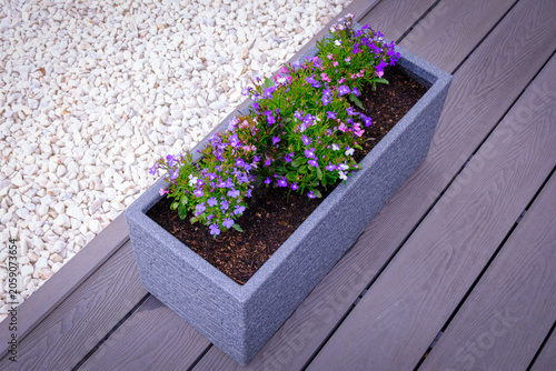 Purple flowers bloom in a sleek, gray planter. Planter rests on wooden decking beside gravel. Bright blooms contrast with dark soil and stone texture. Image captures serene, tranquil garden ambiance