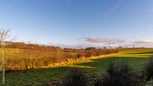 Golden light bathes autumn field and distant trees. Sky glows blue, soft clouds drift overhead. Green grass meets yellowed bushes under warm glow