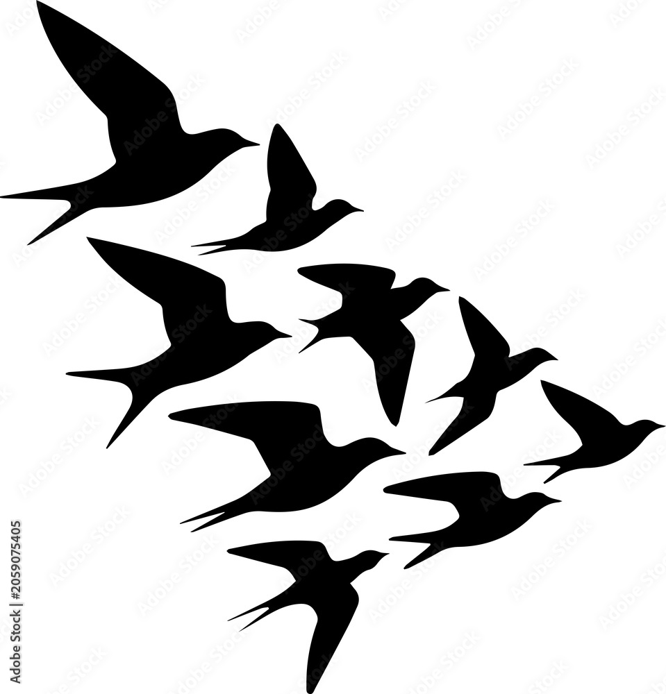 Fototapeta premium Elegant silhouette of flying birds creating dynamic aerial formation