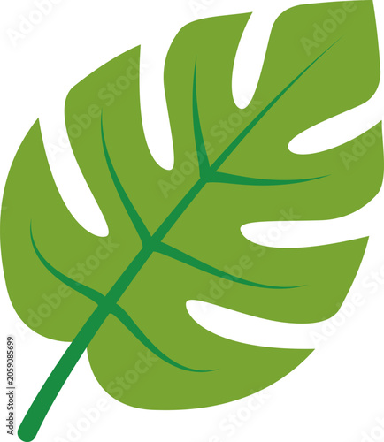 Green Leaf With a Distinctive Shape and Pattern Found in Tropical Regions of ...