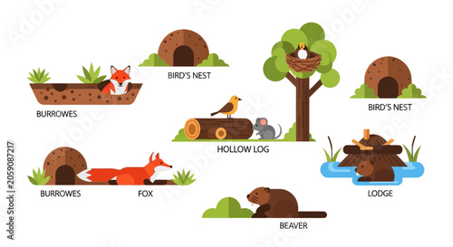 Bild auf Leinwand Animal Habitats: Fox Burrow, Bird Nest, Beaver Lodge, Hollow Log