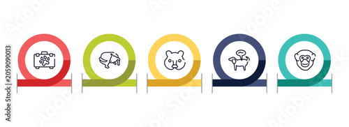 Photography fauna outline icon set featuring pet first aid, dog chasing tail, hedgehog head, pet disease icons
