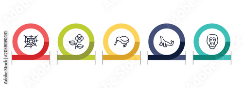 Photography zoo outline icon set featuring cobweb, poppy, kiwi, sea lion icons