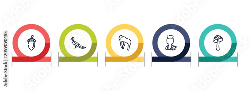 Photography nature outline icon set featuring acorn, peacock, chimpanzee, veterinarian icons