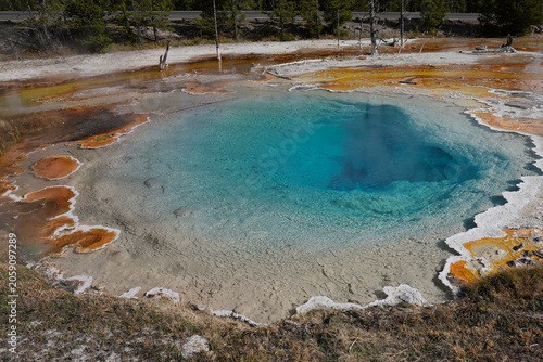 Bright Colors of Silex Spring in Yellowstone National Park