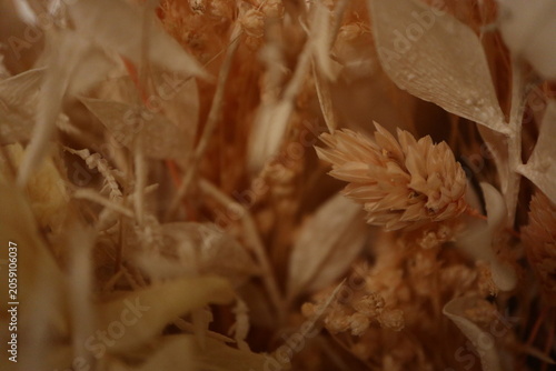Dried flowers bouquet macro background with copy space
