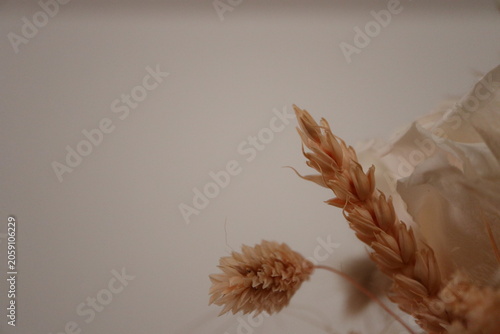 Dried flowers bouquet macro background with copy space