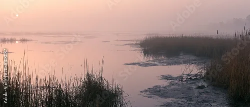 Panel kuchenny z motywem Fog settles over the marsh as the sun rises, creating a quiet scene of water and grass in the early morning light